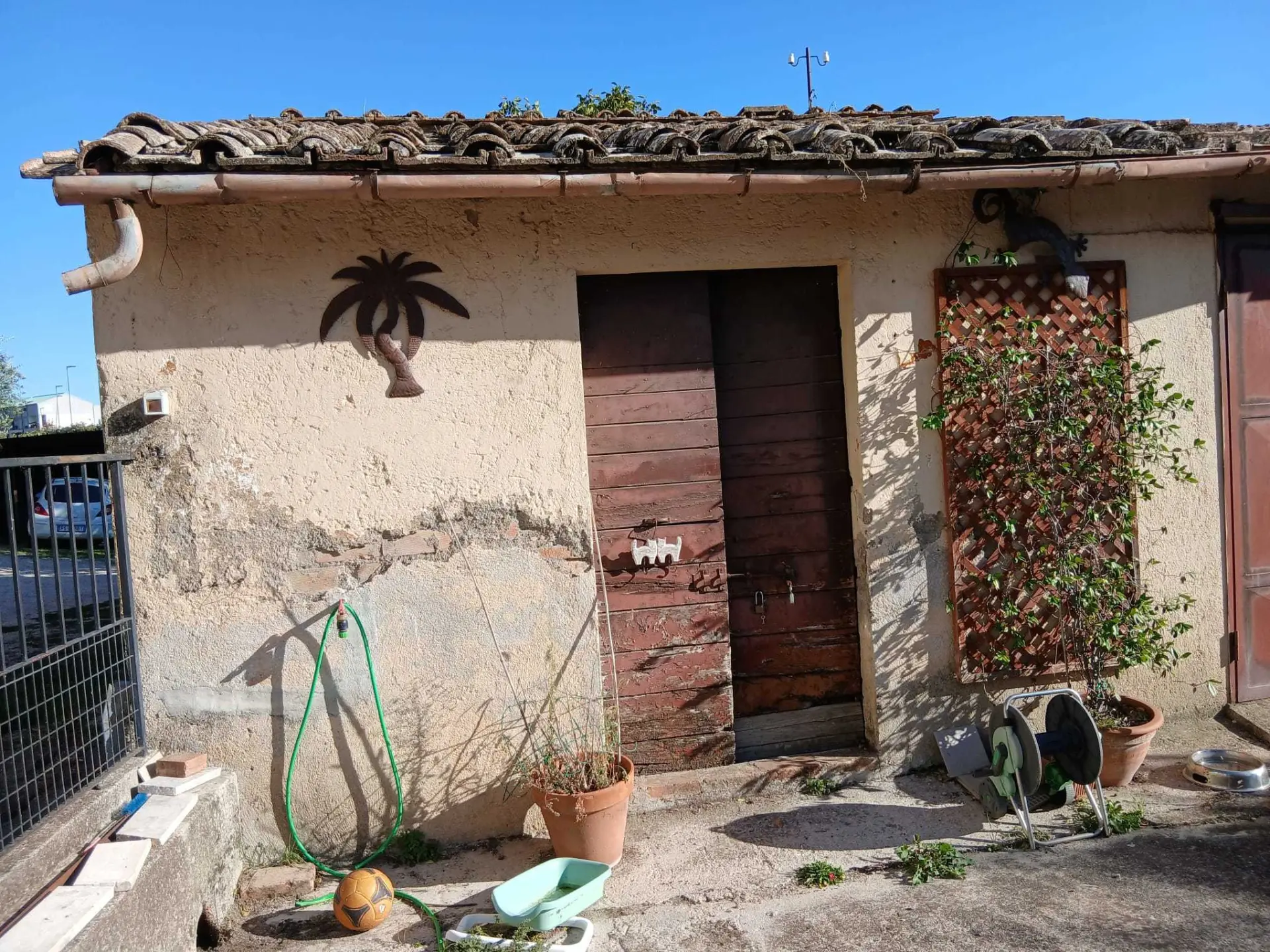 Immagine per Magazzino in vendita a Amelia strada Cecanibbio 9