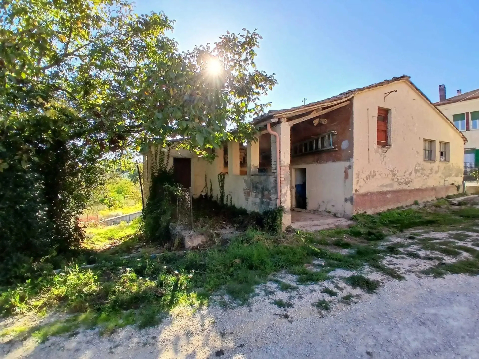 Immagine per Magazzino in vendita a Amelia strada Cecanibbio 9