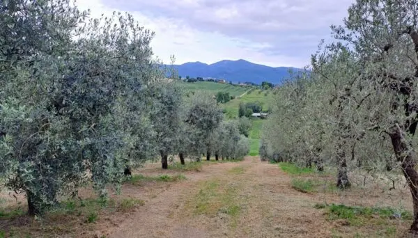 Porzione Di Casa strada Di Porcilvalle 88, Terni
