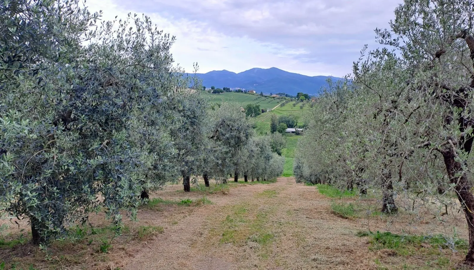 Immagine per Porzione di casa in vendita a Terni strada Di Porcilvalle 88