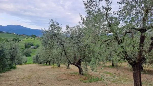 Porzione Di Casa strada Di Porcilvalle 88, Terni