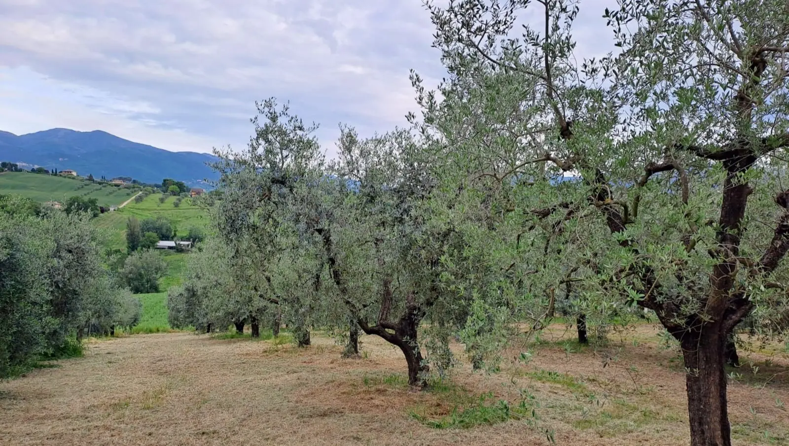 Immagine per Porzione di casa in vendita a Terni strada Di Porcilvalle 88