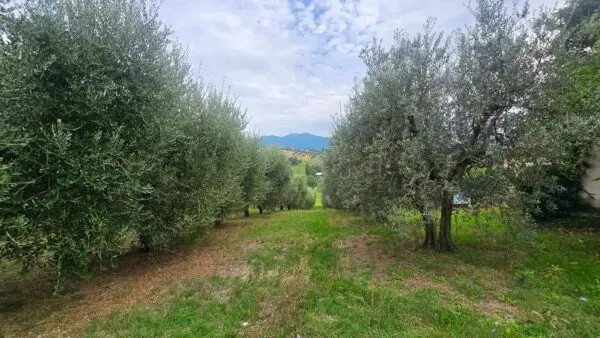 Porzione Di Casa strada Di Porcilvalle 88, Terni