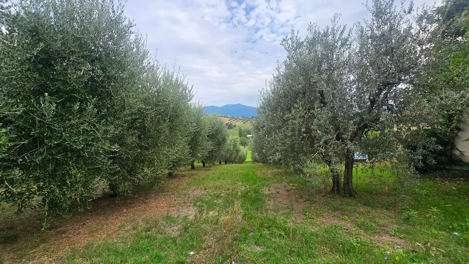 Immagine per Porzione di casa in vendita a Terni strada Di Porcilvalle 88