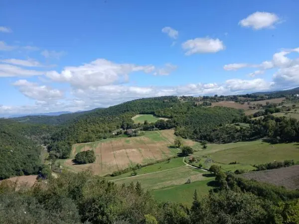 Terratetto via Del Mortaro 9, Amelia