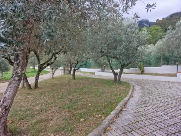 Villa via Località Fontanelle, Configni