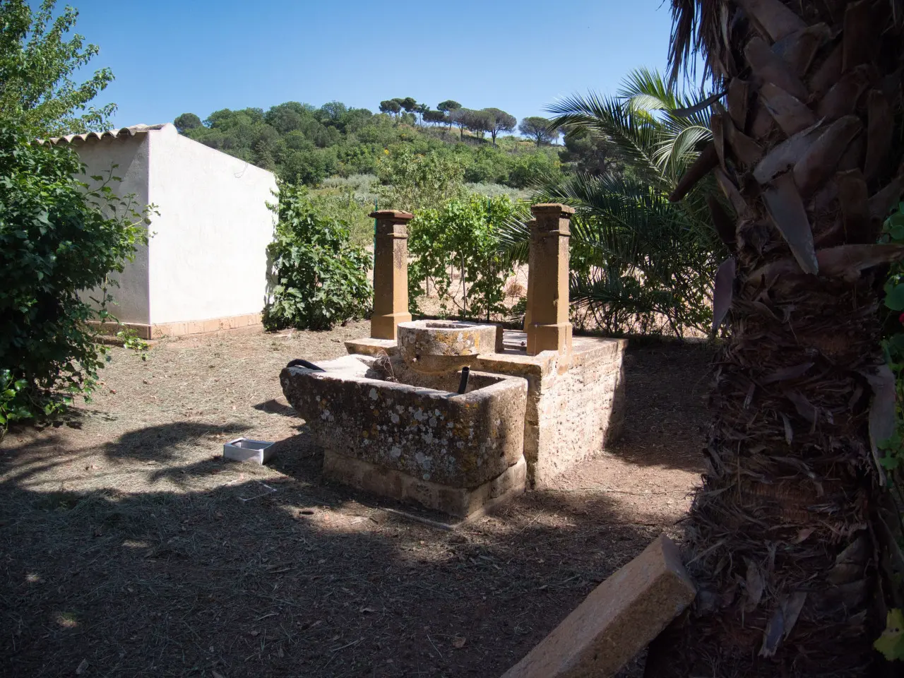 Immagine per Villa in Vendita a Piazza Armerina