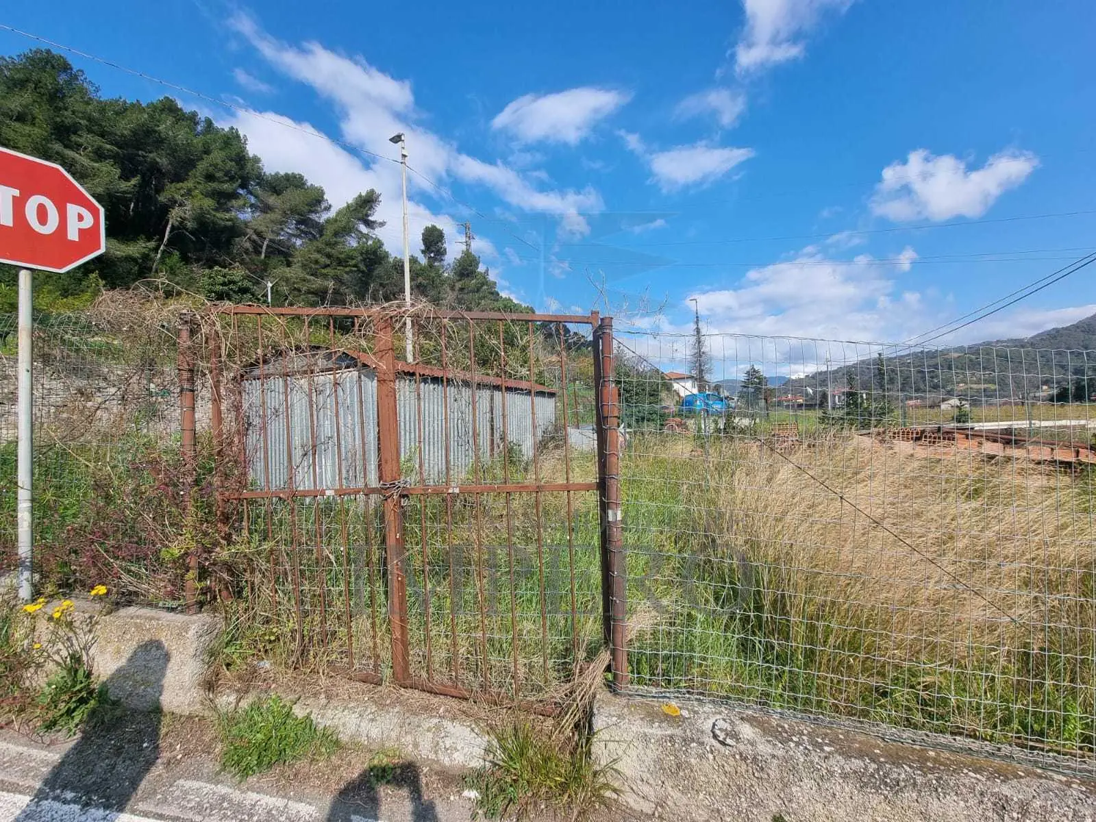 Immagine per Area verde in vendita a Camporosso via Udine 1
