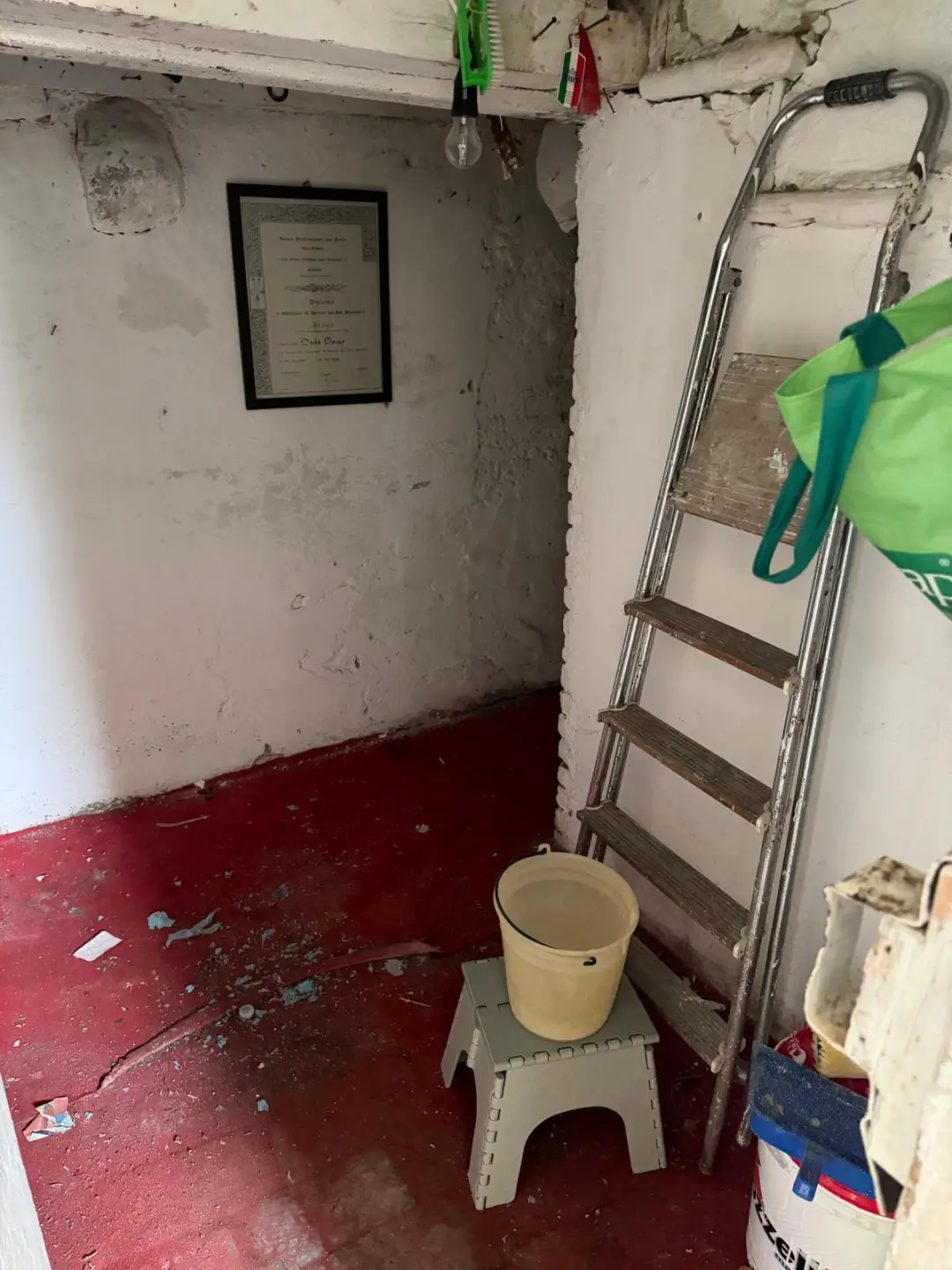 Immagine per Terratetto in vendita a Sarzana viale Giuseppe Mazzini 10