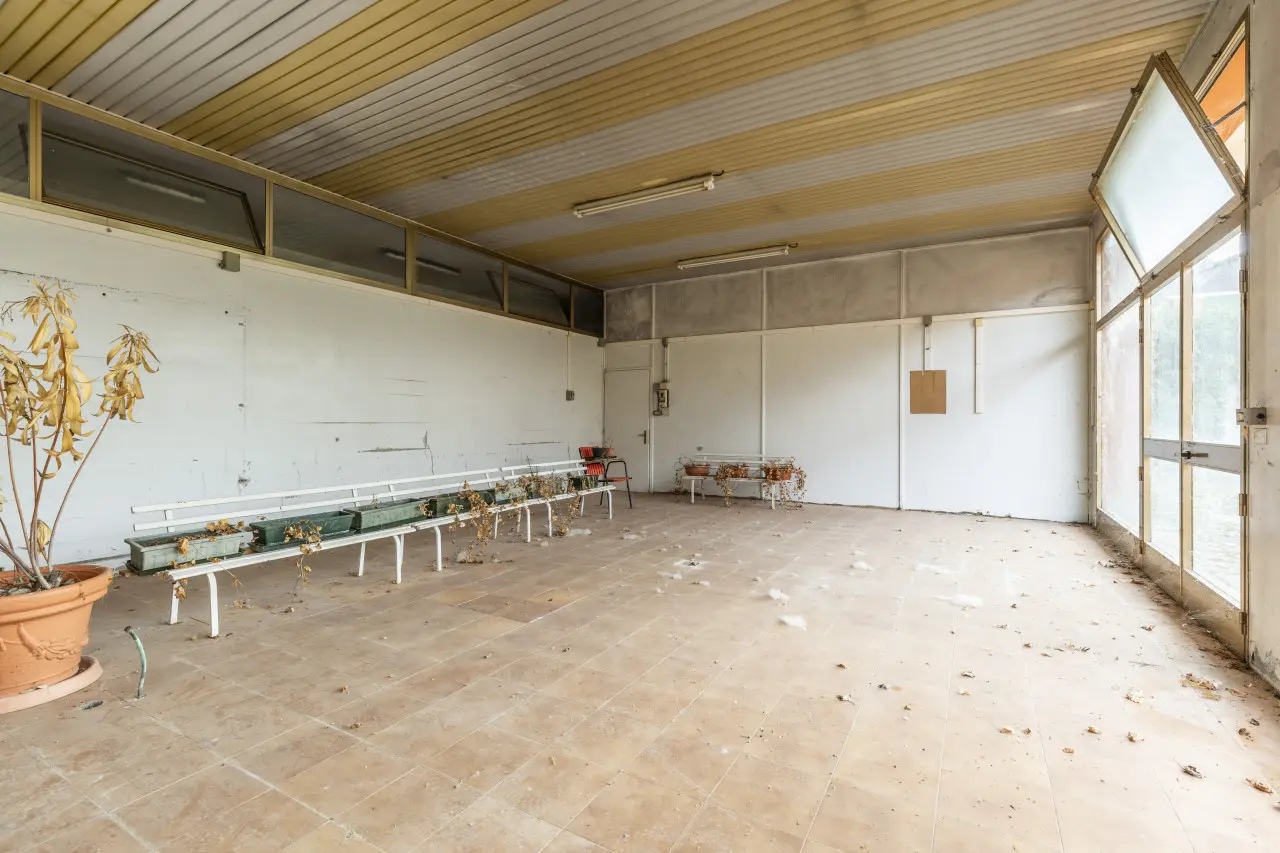 Immagine per Casale in Vendita a Sestino Strada Provinciale Marecchia