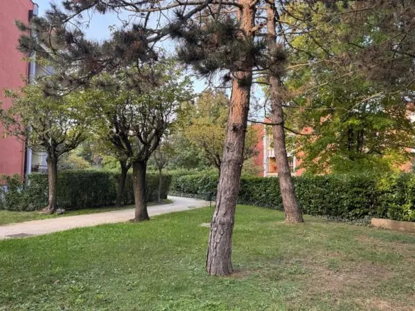 Appartamento via Collegno 0, Alpignano