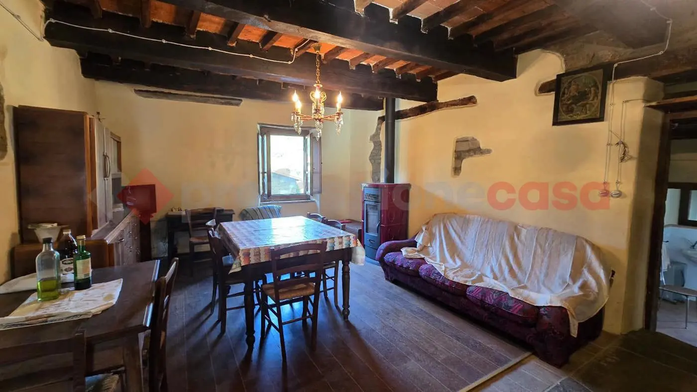 Immagine per Villa quadrifamiliare in vendita a Arezzo