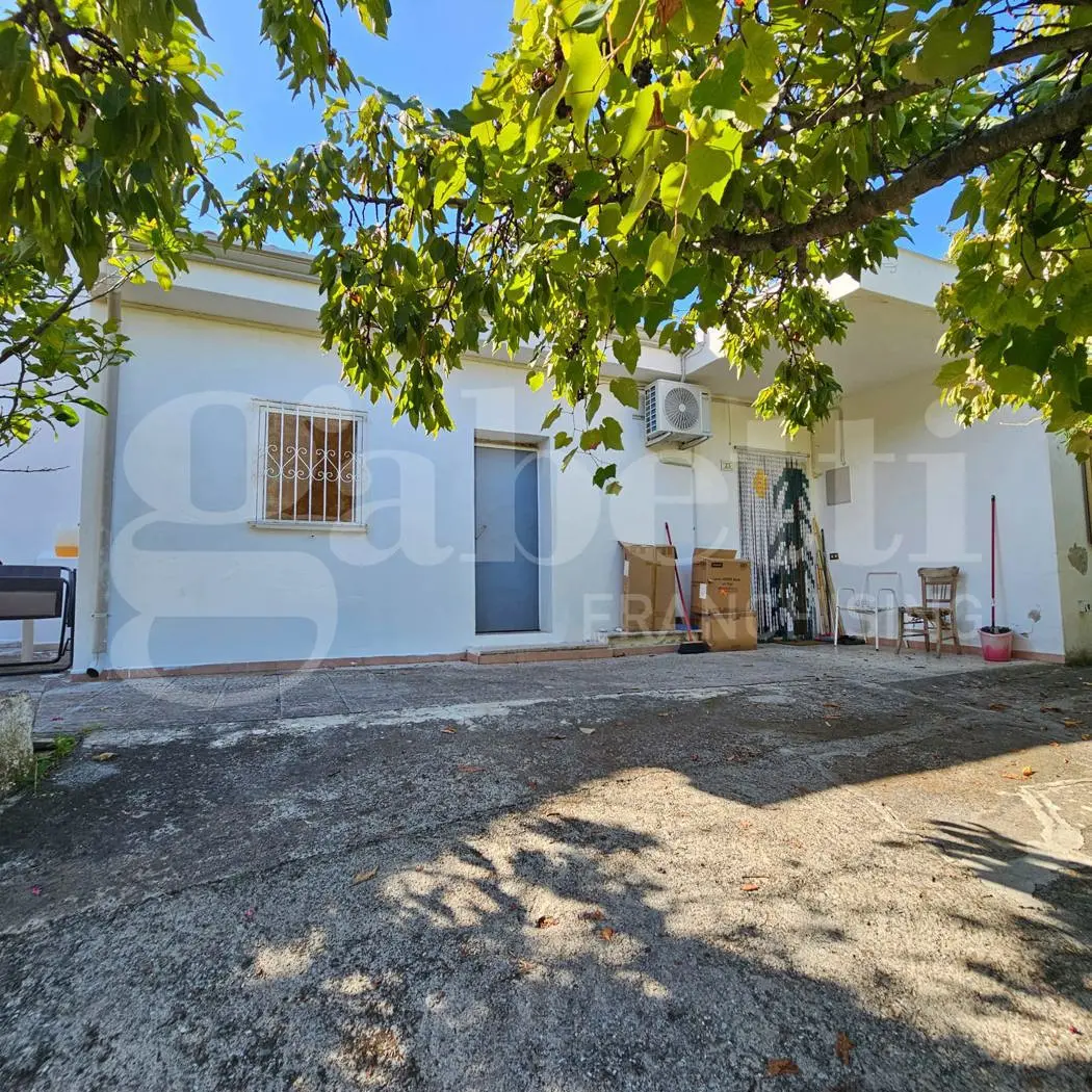 Immagine per Stabile - Palazzo in vendita a Diamante via Ii Trav Contrada Riviere