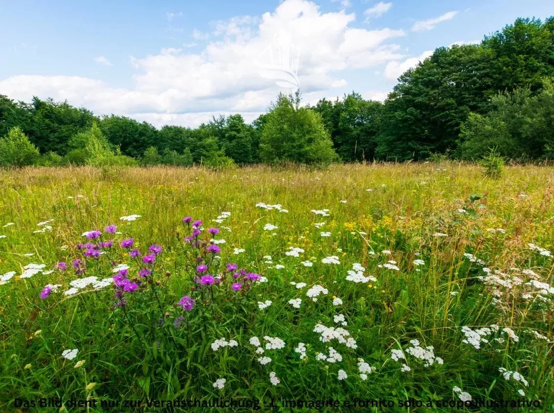Immagine per Casa indipendente in vendita a Naturno