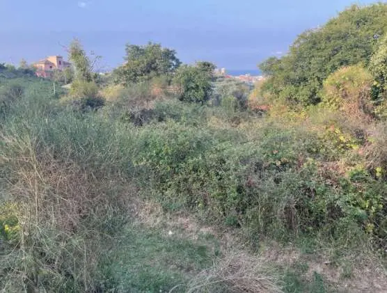 Terreno Agricolo via Madonna Della Neve Snc, Lavagna