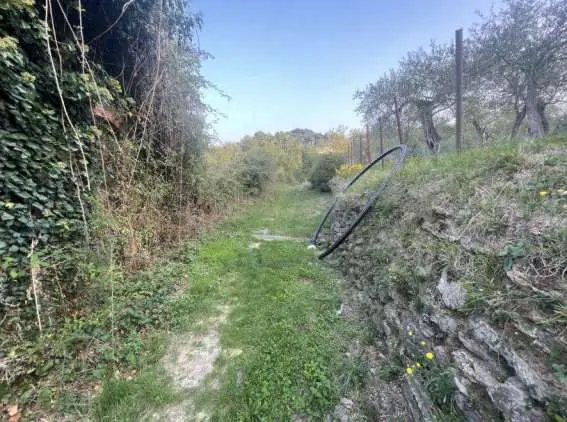 Terreno Agricolo via Madonna Della Neve Snc, Lavagna