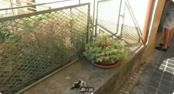 Immagine per Rustico in asta a Pontedassio via De Amicis snc