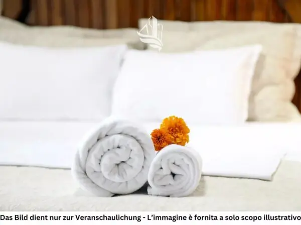 Immagine per Hotel in vendita a Merano