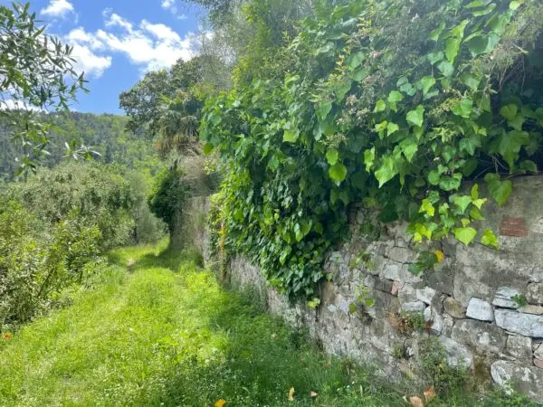 Villa via Del Macennere 8252/a, Lucca