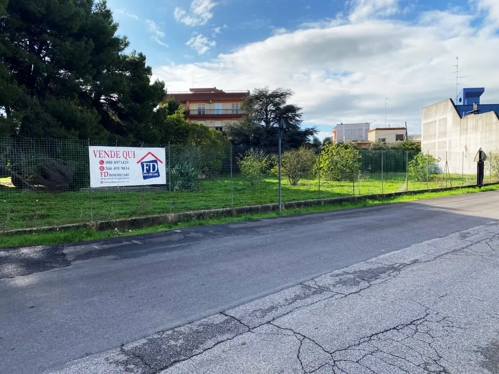 Immagine per Agricolo in vendita a Sammichele di Bari via Vito Donato Bianco