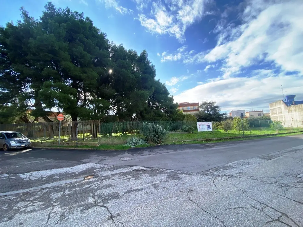 Immagine per Agricolo in vendita a Sammichele di Bari via Vito Donato Bianco