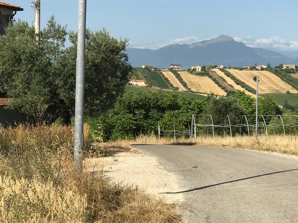 Immagine per Agricolo in vendita a Colonnella via Contrada  Riomoro