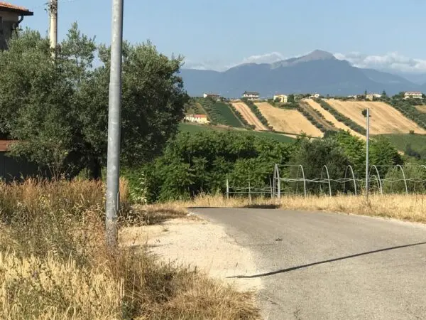 Agricolo via Contrada Riomoro, Colonnella