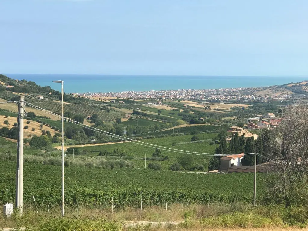 Immagine per Agricolo in vendita a Colonnella via Contrada  Riomoro