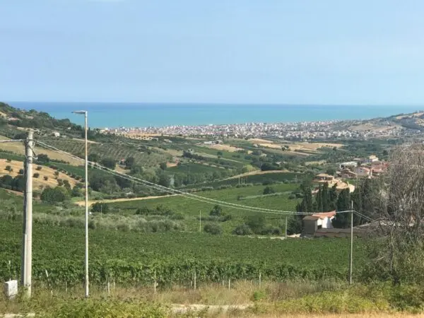 Agricolo via Contrada Riomoro, Colonnella