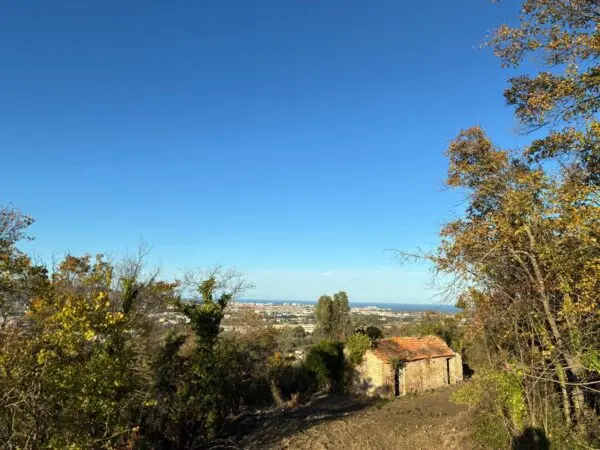 Villa Trifamiliare via Delle Volpi 2, Colonnella