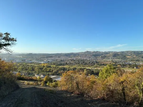 Villa Trifamiliare via Delle Volpi 2, Colonnella