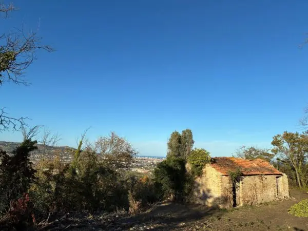 Villa Trifamiliare via Delle Volpi 2, Colonnella