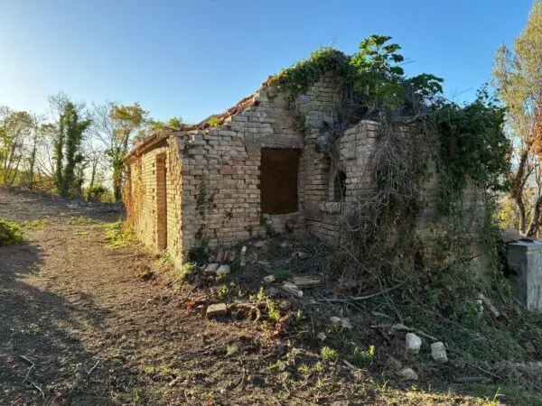 Villa Trifamiliare via Delle Volpi 2, Colonnella