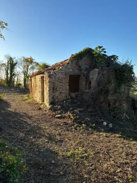 Villa Trifamiliare via Delle Volpi 2, Colonnella