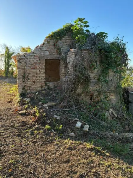 Villa Trifamiliare via Delle Volpi 2, Colonnella