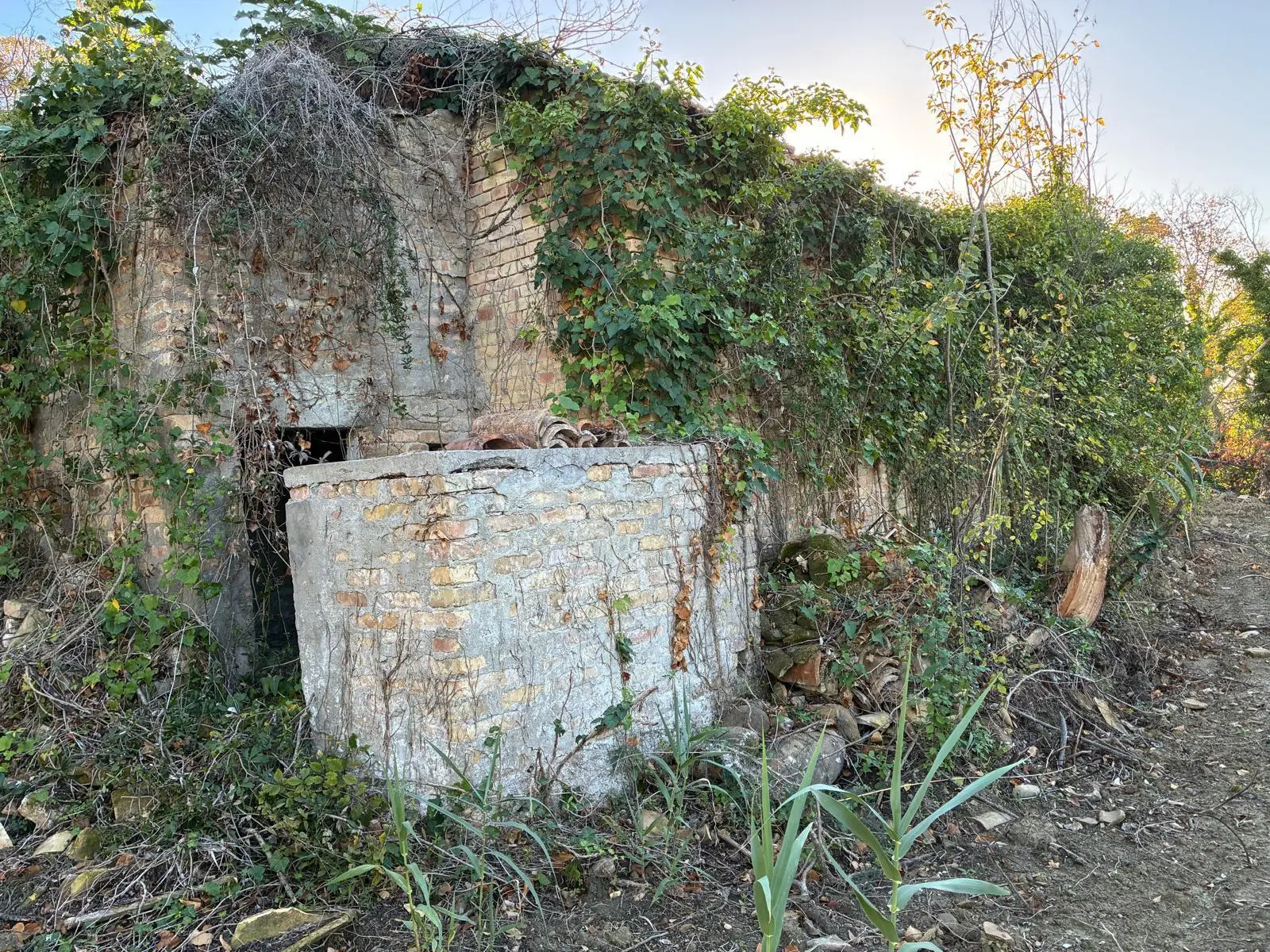 Immagine per Villa trifamiliare in vendita a Colonnella via Delle Volpi 2