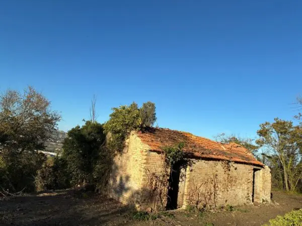 Villa Trifamiliare via Delle Volpi 2, Colonnella