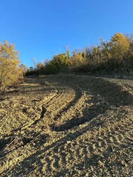 Villa Trifamiliare via Delle Volpi 2, Colonnella