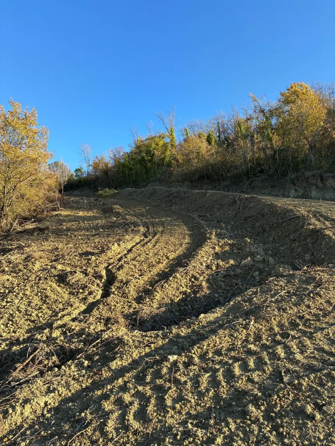 Immagine per Villa trifamiliare in vendita a Colonnella via Delle Volpi 2