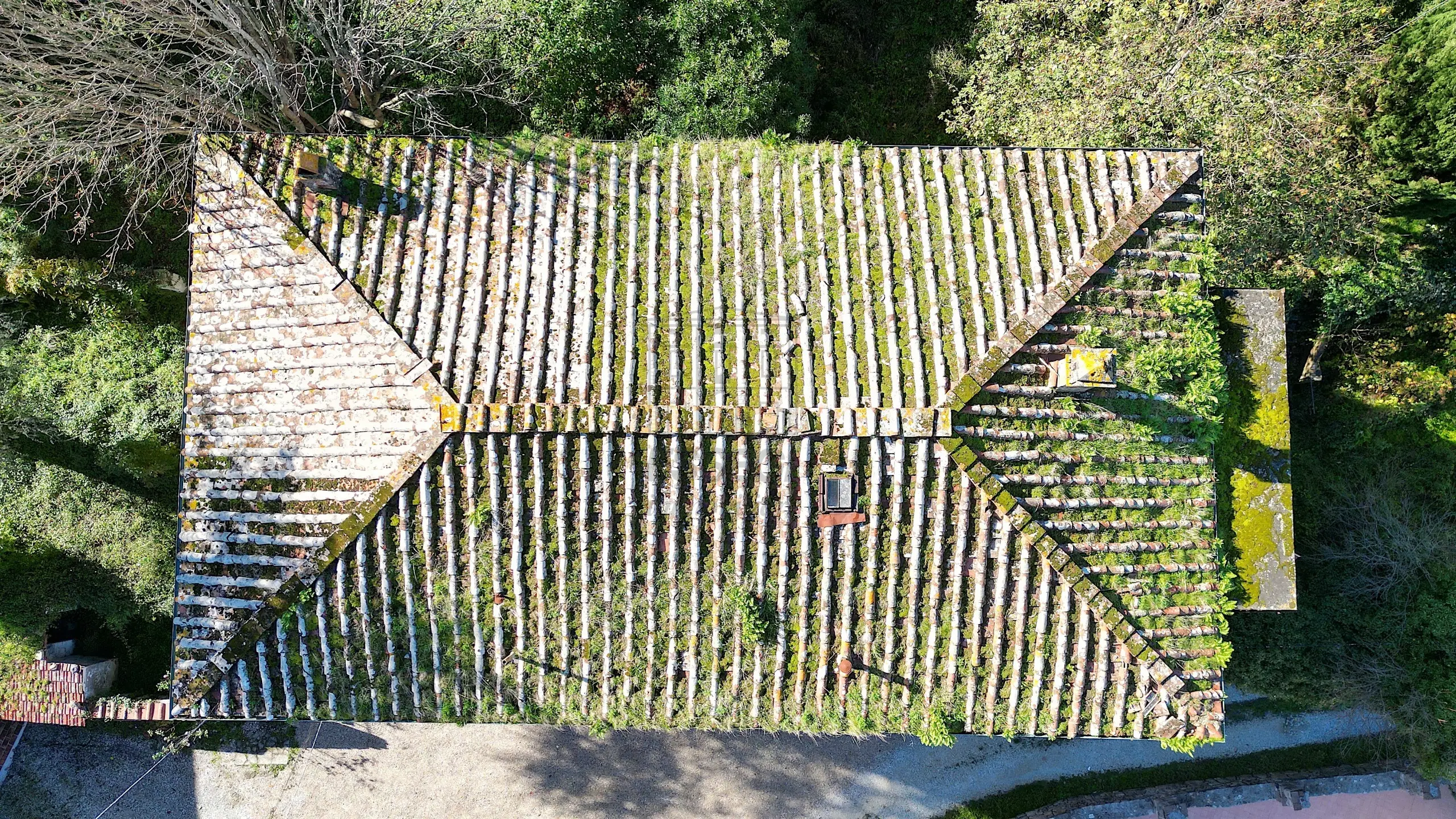 Immagine per Casale in vendita a Capannori via Guamo 34A