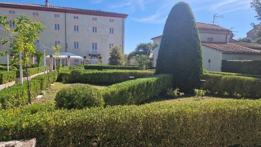 Immagine per Villa in vendita a Lucca via Di Tiglio 1234