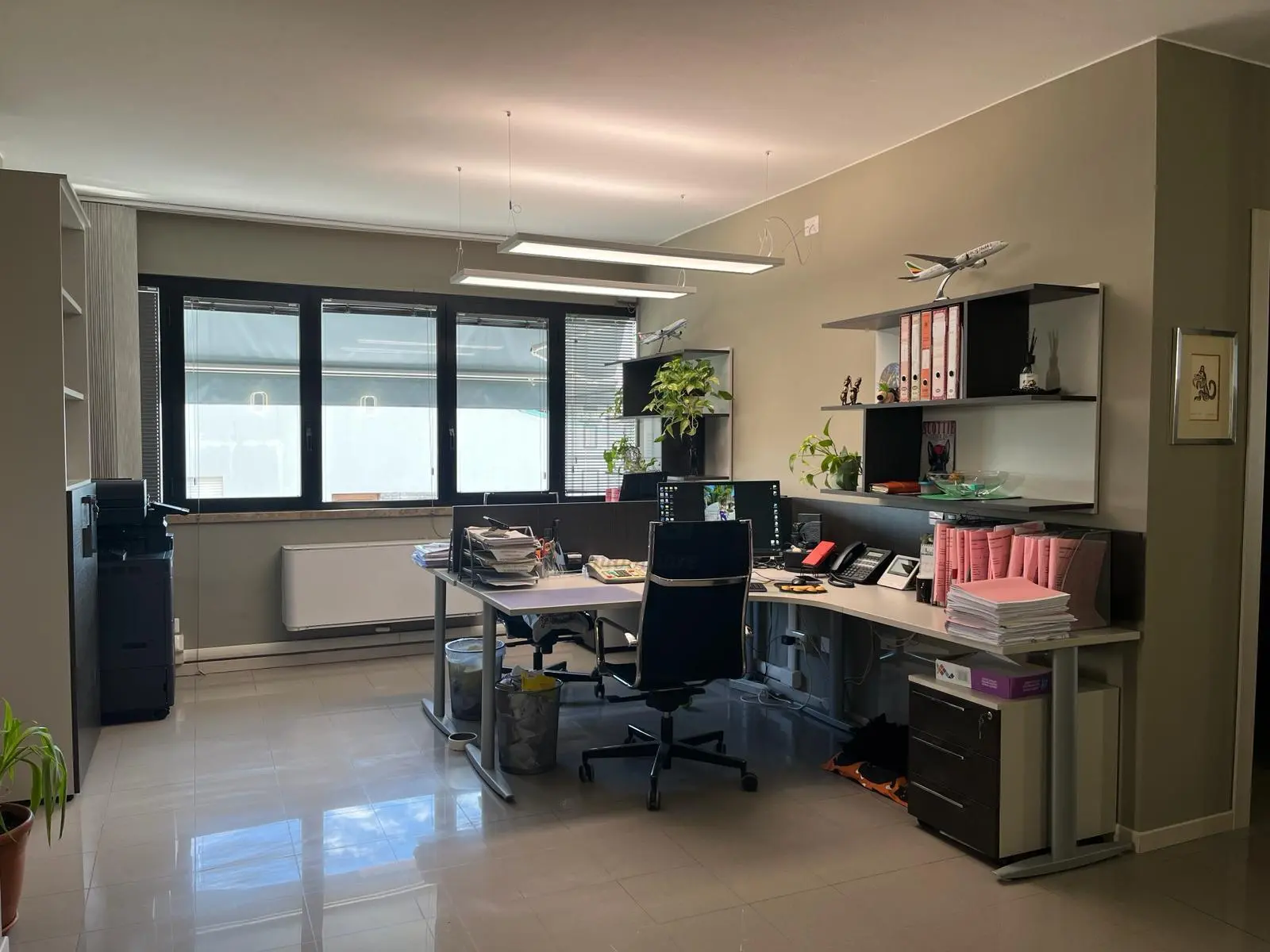 Immagine per Area verde in vendita a Lucca via Romana