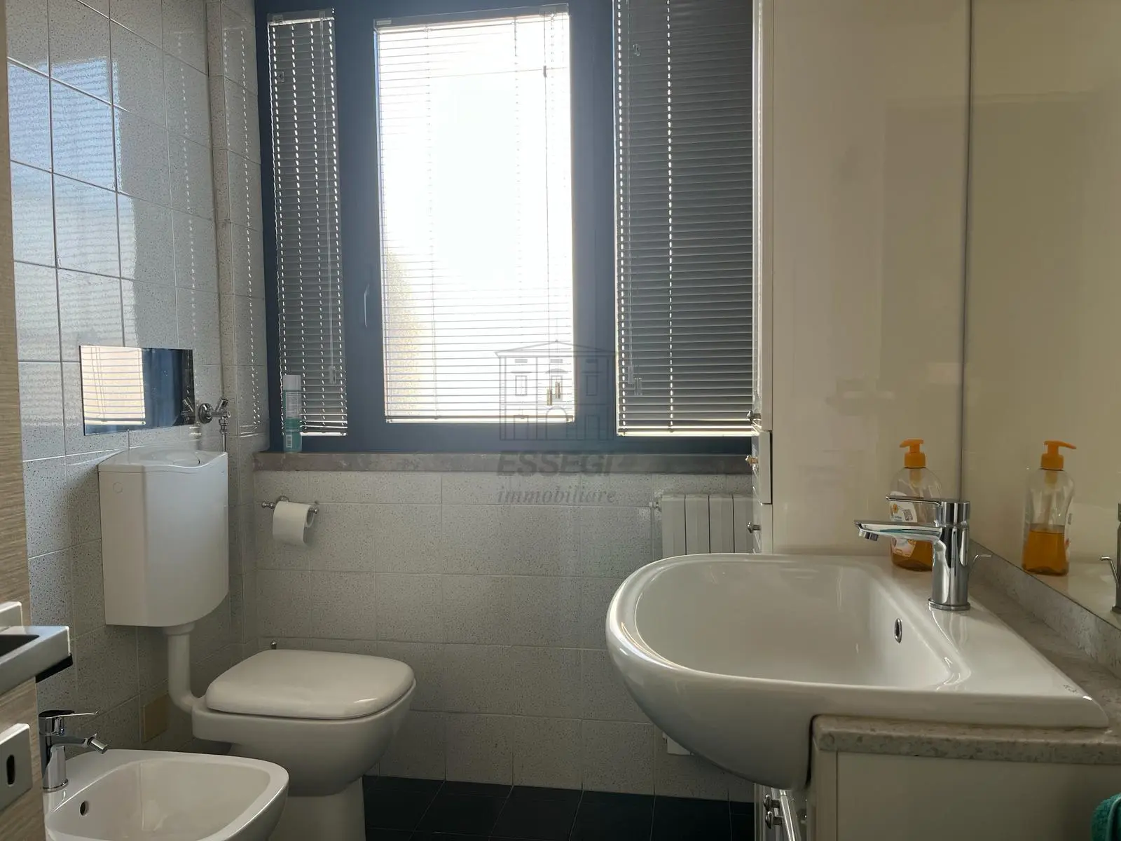 Immagine per Area verde in vendita a Lucca via Romana