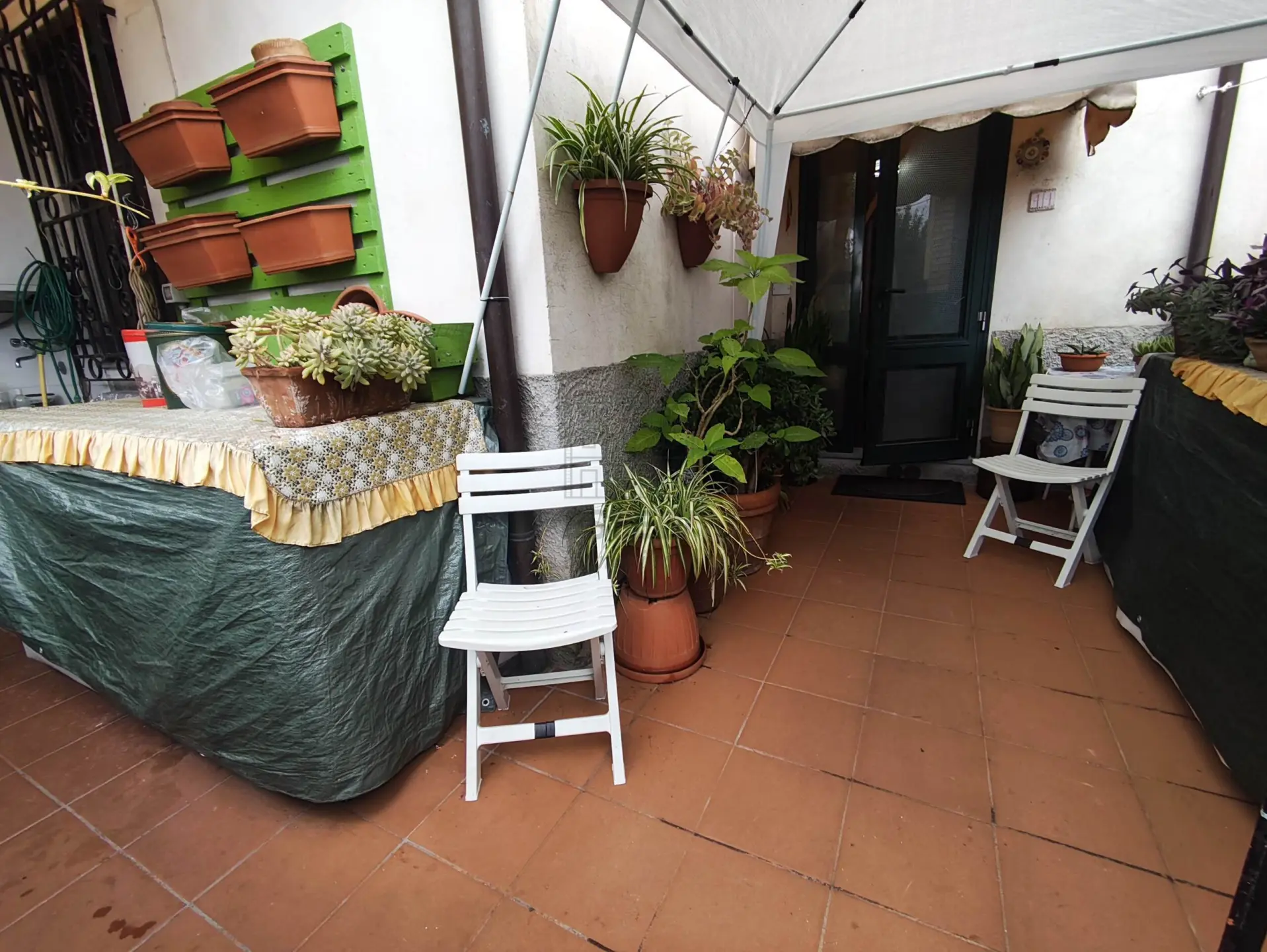 Immagine per Terratetto in vendita a Lucca 298