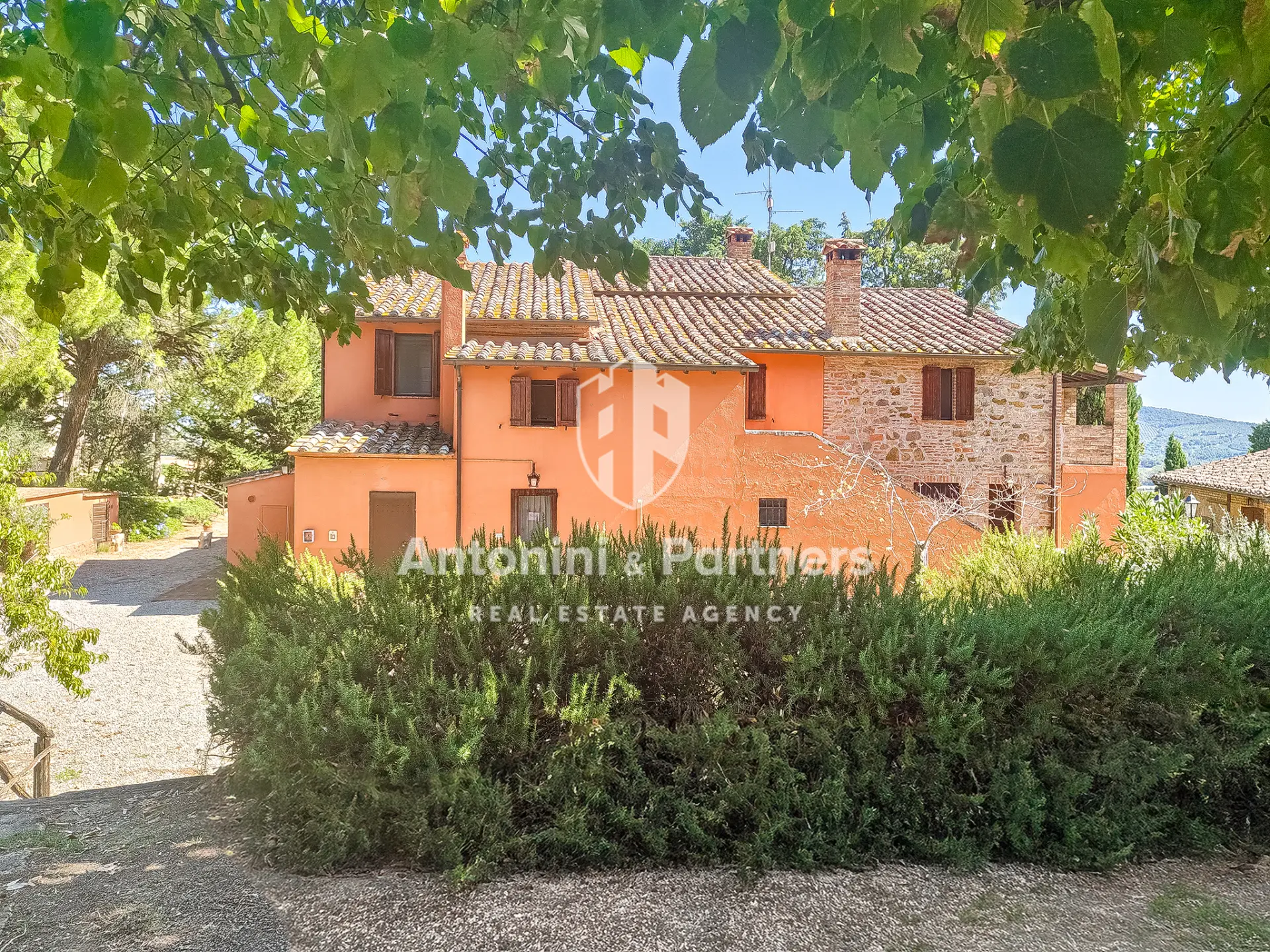Immagine per Casale in vendita a Castiglione del Lago via Dei Partigiani