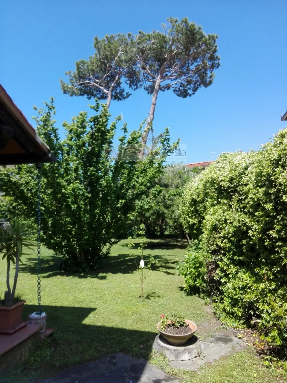Immagine per Villa in vendita a Forte dei Marmi  