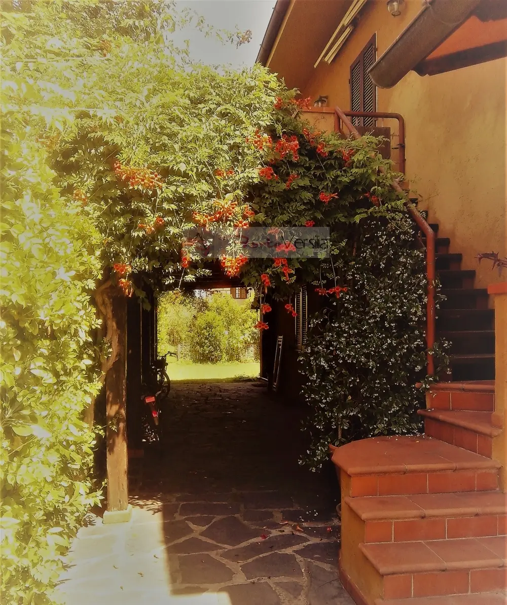 Immagine per Villa in vendita a Forte dei Marmi  