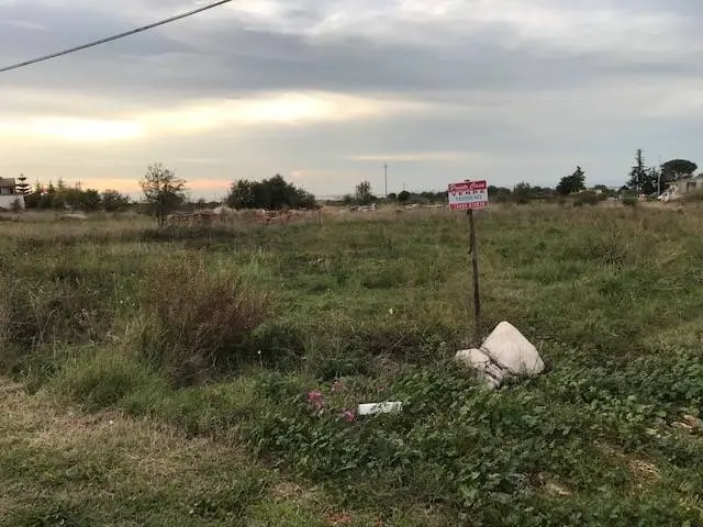 Immagine per Terreno Agricolo in vendita a San Nicandro Garganico Contrada Pilarossa snc