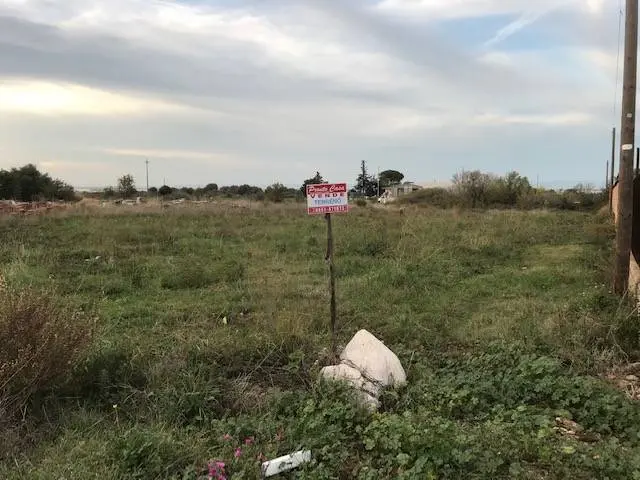 Immagine per Terreno Agricolo in vendita a San Nicandro Garganico Contrada Pilarossa snc