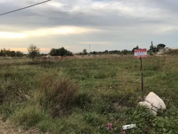 Terreno Agricolo via Contrada Pilarossa Snc, San Nicandro Garganico